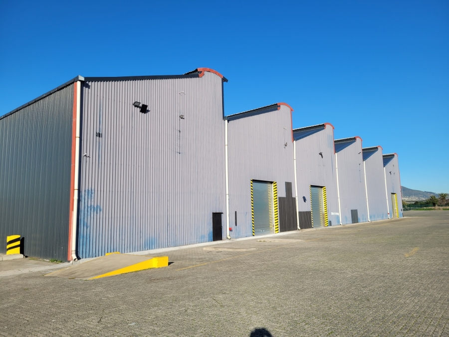 To Let Commercial Property for Rent in Maitland Western Cape